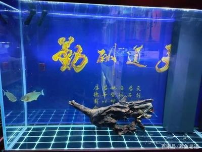防城港市港口区逗鱼水族用品店(广西防城港市港口区逗鱼水族用品店详细介绍)